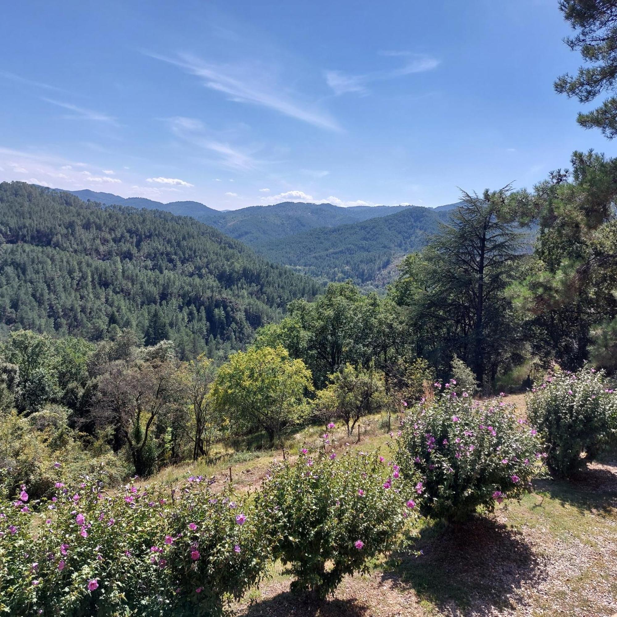 Chalet 14 pers avec vue panoramique et piscine chauffée Genolhac Exterior foto